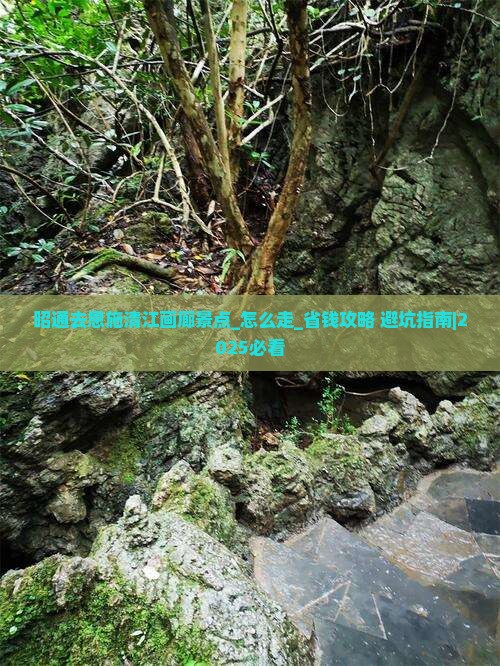 昭通去恩施清江画廊景点