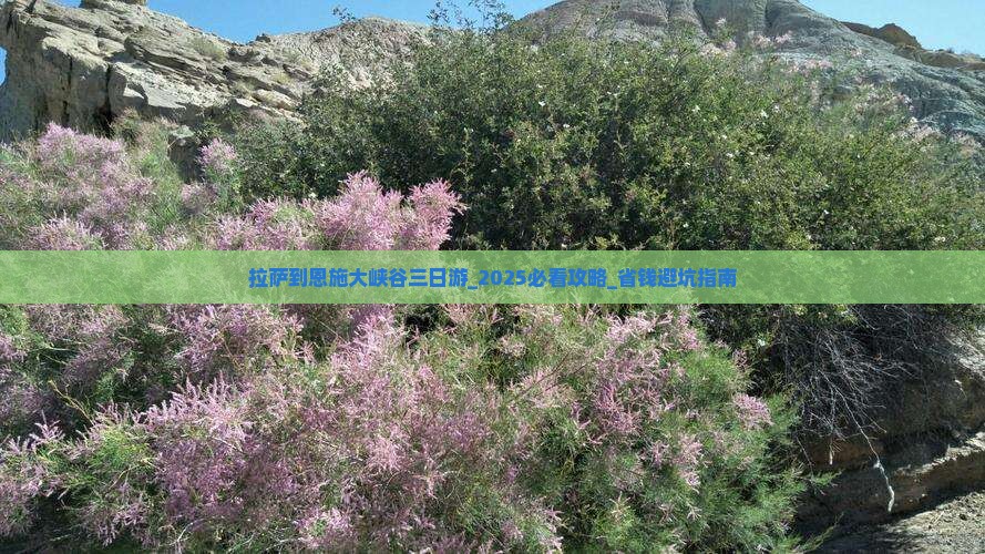 拉萨到恩施大峡谷三日游