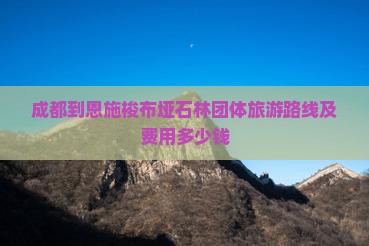 成都到恩施梭布垭石林团体旅游