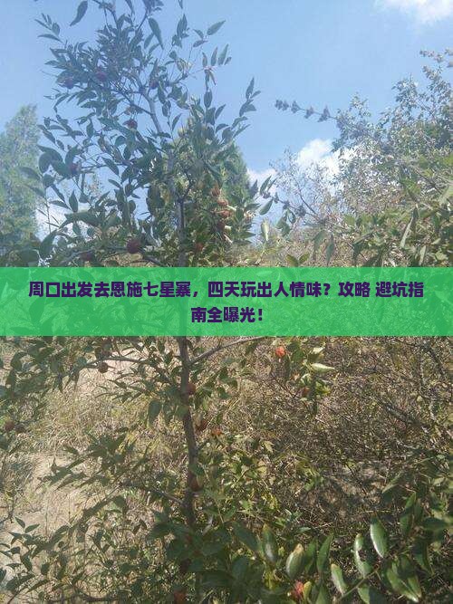 周口去恩施七星寨四日游