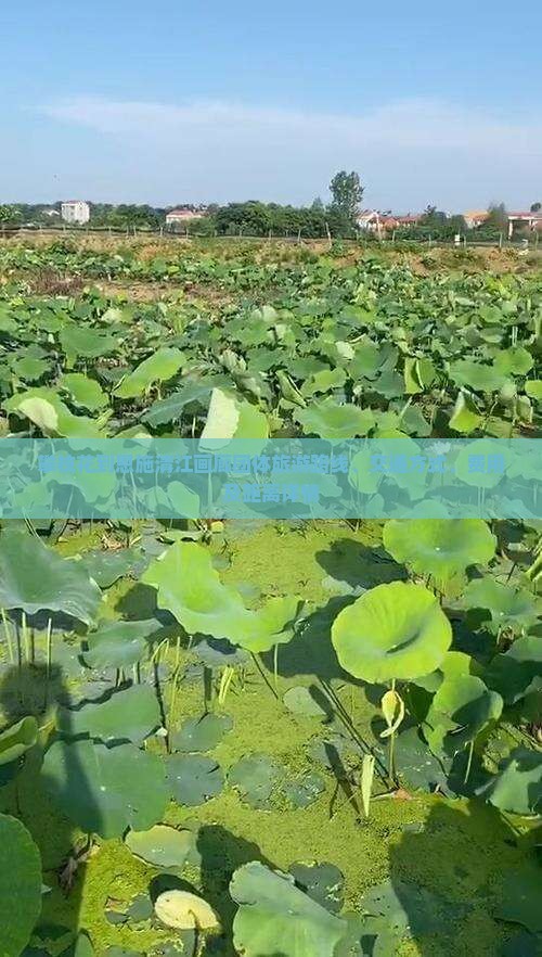攀枝花到恩施清江画廊团体旅游