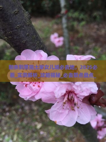 新余到恩施土家女儿城必去地
