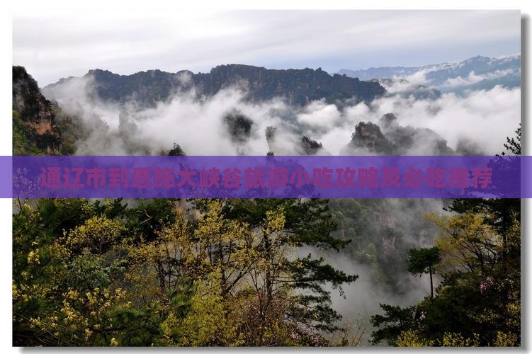 通辽市到恩施大峡谷旅游小吃