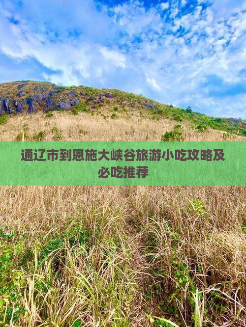 通辽市到恩施大峡谷旅游小吃