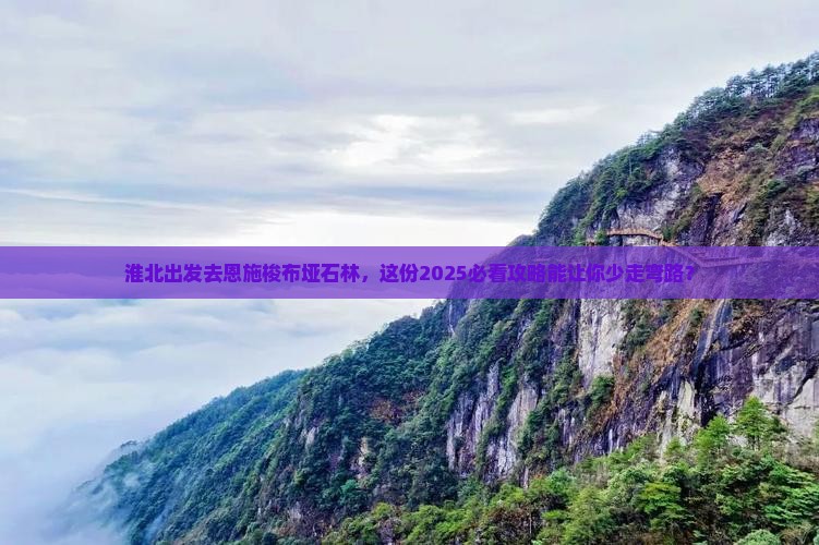 淮北去恩施梭布垭石林大型旅游团