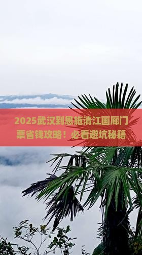 武汉到恩施清江画廊门票
