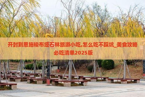 开封到恩施梭布垭石林旅游小吃