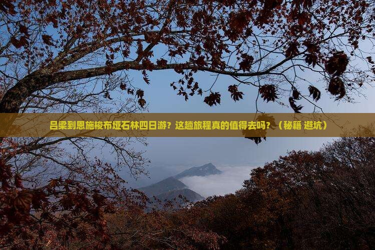吕梁到恩施梭布垭石林四日游