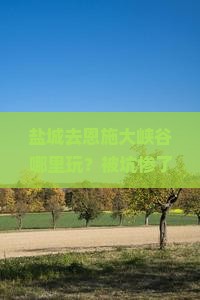 盐城去恩施大峡谷哪里玩