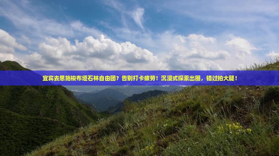 宜宾去恩施梭布垭石林自由团