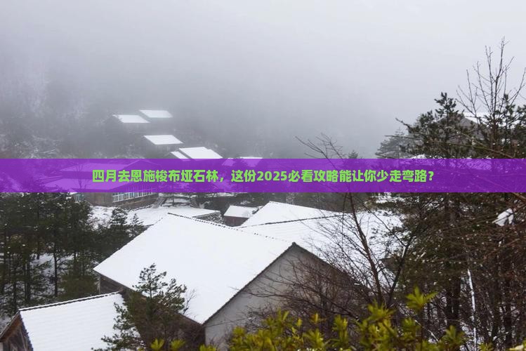 四月到恩施梭布垭石林二日游