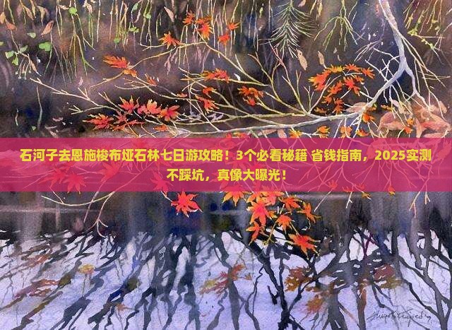 石河子去恩施梭布垭石林七日游