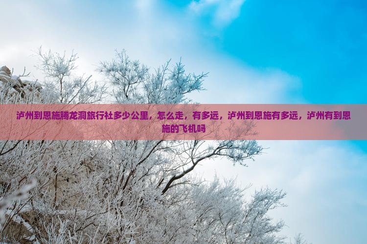 泸州到恩施腾龙洞旅行社