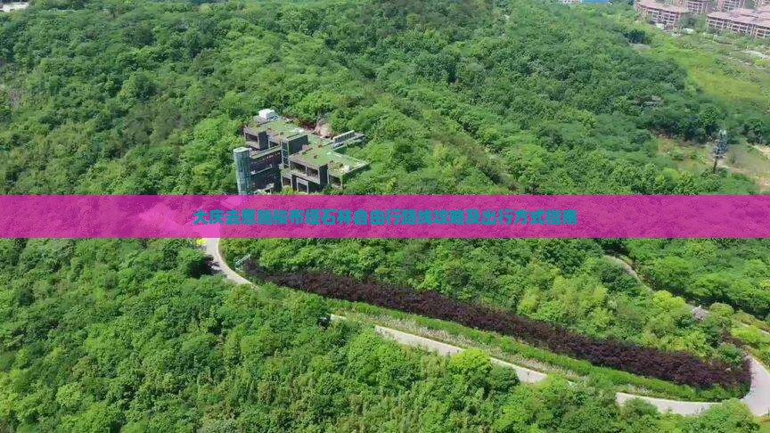 大庆去恩施梭布垭石林自由行