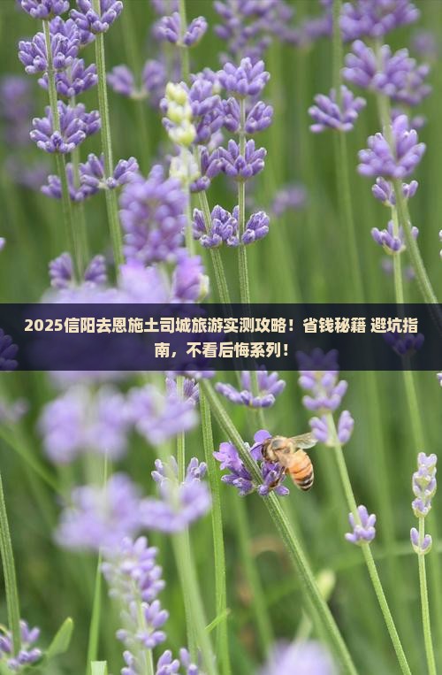 信阳去恩施土司城旅游