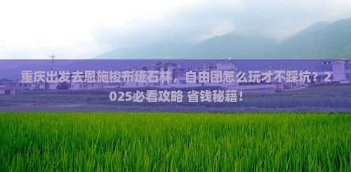 重庆到恩施梭布垭石林自由团