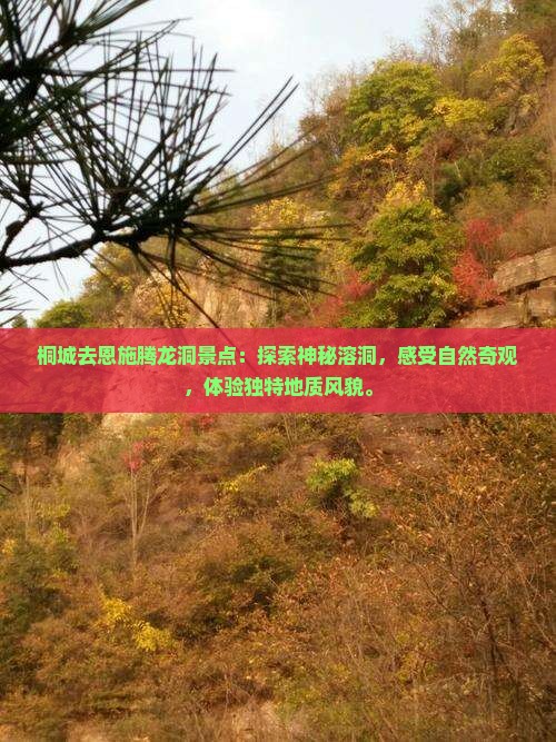 桐城去恩施腾龙洞景点