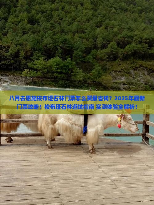 八月去恩施梭布垭石林门票