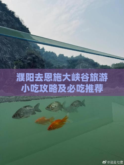 濮阳去恩施大峡谷旅游小吃