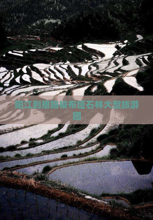 阳江到恩施梭布垭石林大型旅游团