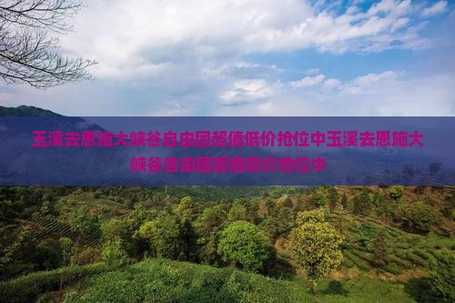 玉溪去恩施大峡谷自由团