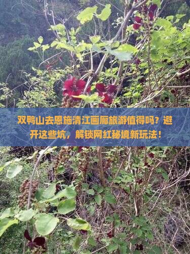 双鸭山去恩施清江画廊旅游
