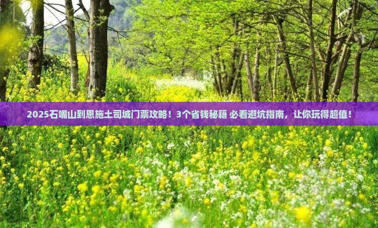 石嘴山到恩施土司城门票