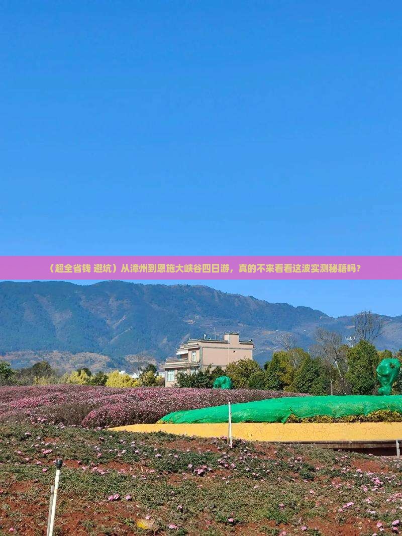漳州到恩施大峡谷四日游