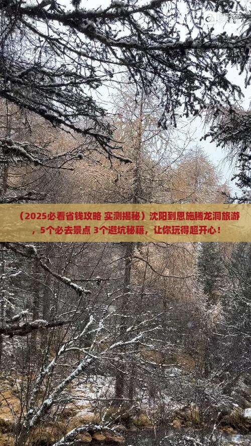 沈阳到恩施腾龙洞旅游
