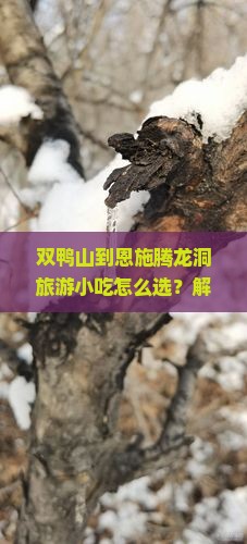 双鸭山到恩施腾龙洞旅游小吃 双鸭山到恩施腾龙洞旅游小吃