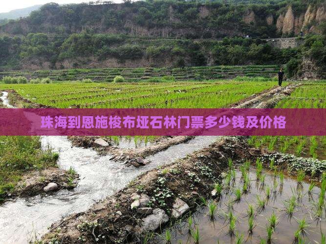 珠海到恩施梭布垭石林门票
