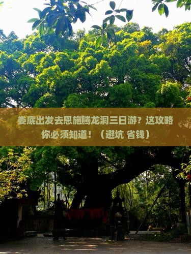 娄底去恩施腾龙洞三日游 娄底去恩施腾龙洞三日游