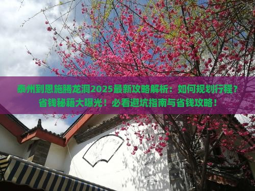 泰州到恩施腾龙洞攻略