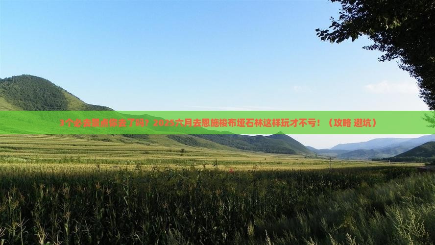六月到恩施梭布垭石林必去地