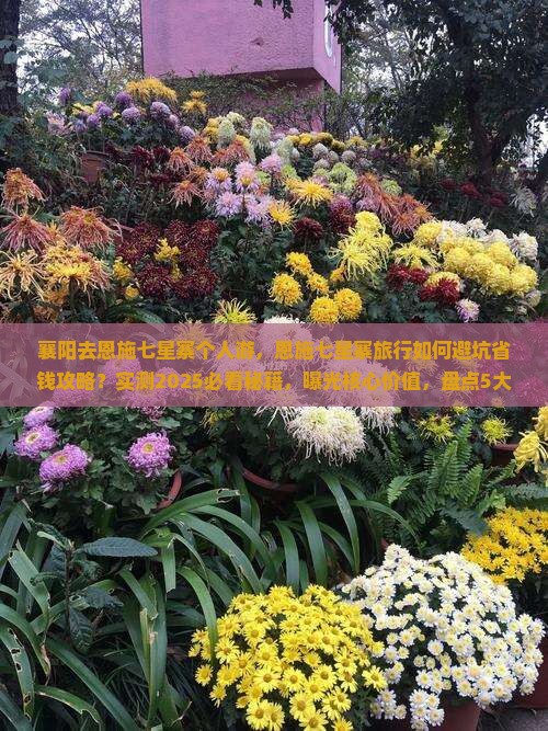襄阳去恩施七星寨个人游
