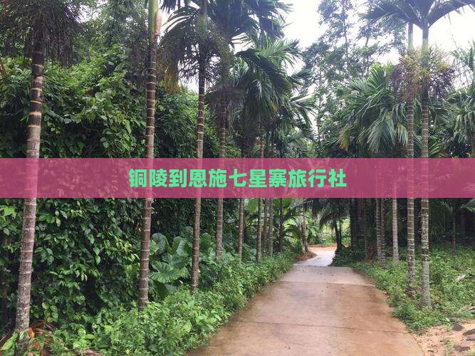 铜陵到恩施七星寨旅行社