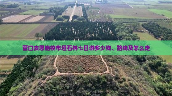 营口去恩施梭布垭石林七日游