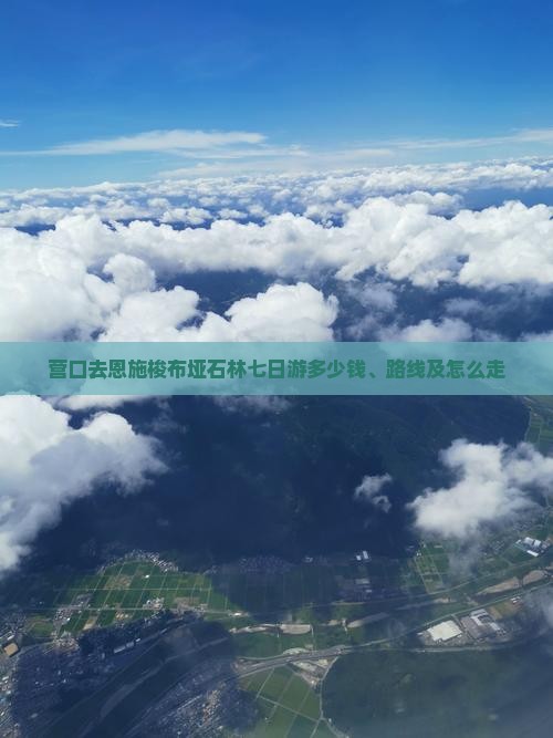 营口去恩施梭布垭石林七日游