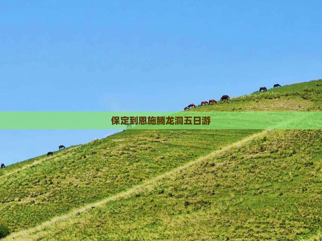 保定到恩施腾龙洞五日游