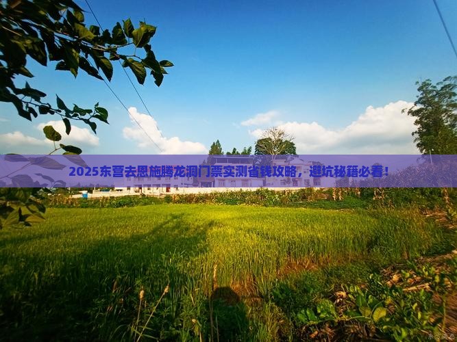 东营去恩施腾龙洞门票