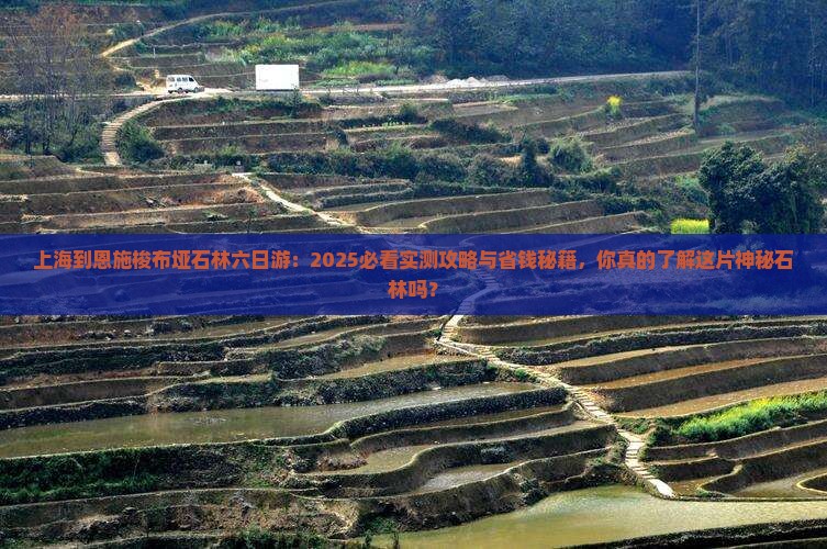上海到恩施梭布垭石林六日游