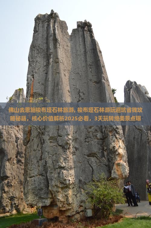 佛山去恩施梭布垭石林旅游