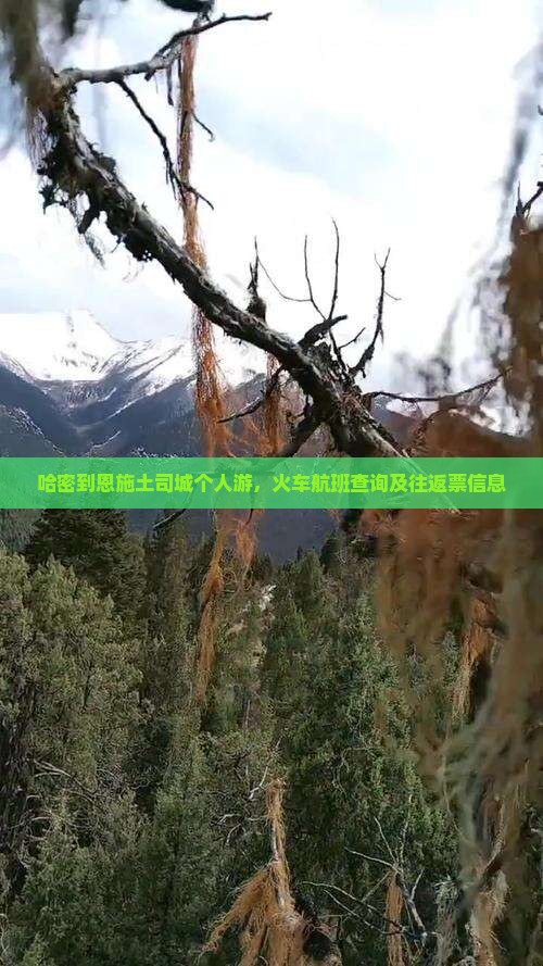 哈密到恩施土司城个人游