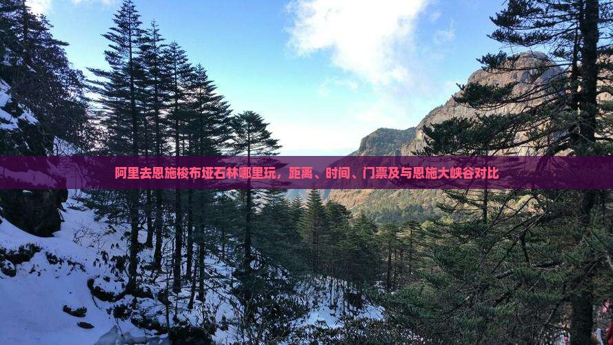 阿里去恩施梭布垭石林哪里玩
