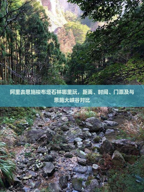 阿里去恩施梭布垭石林哪里玩
