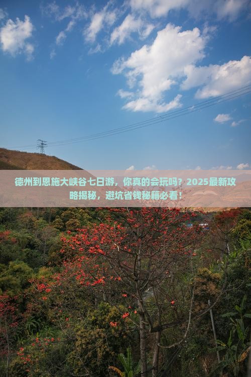 德州到恩施大峡谷七日游