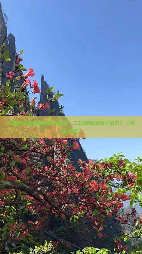 黄冈到恩施梭布垭石林二日游