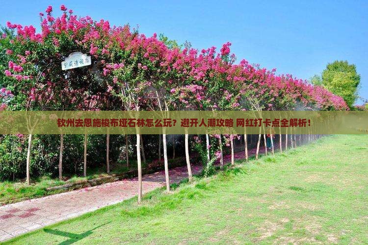钦州去恩施梭布垭石林哪里玩