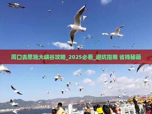 周口去恩施大峡谷攻略