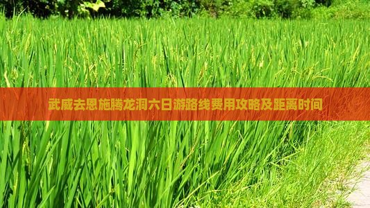武威去恩施腾龙洞六日游
